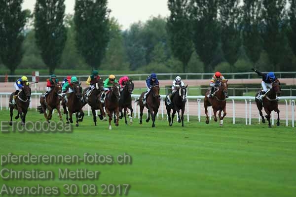 ET0Q0093a prot